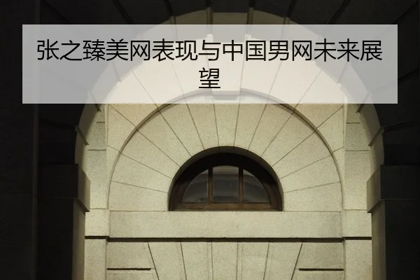 张之臻美网表现与中国男网未来展望